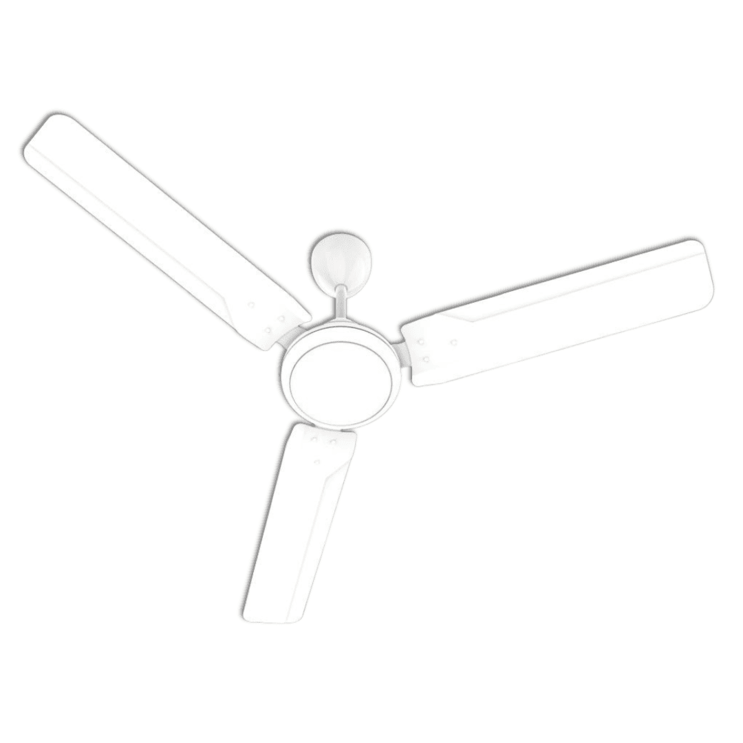 RENACER BLDC
