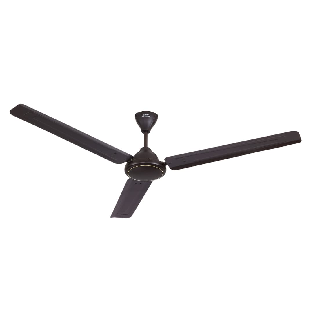 RENACER 56"