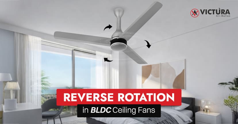 Bldc Fan Rotation Advantages of Reverse Rotation in BLDC Ceiling Fans